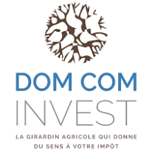 DOM COM INVEST